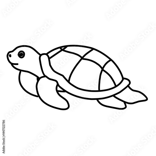 illustration of a tortoise sketch on a white background