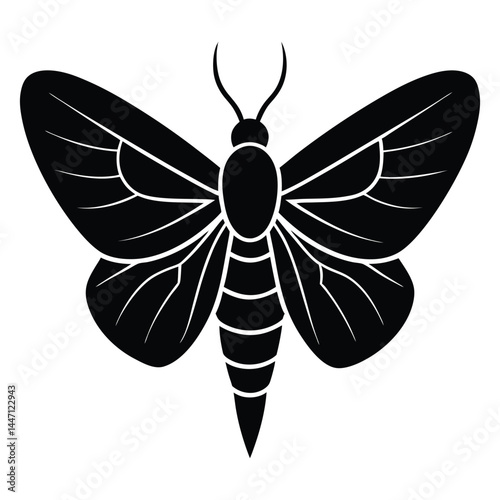 Silhouette of a moth with wide-open wings on a white background