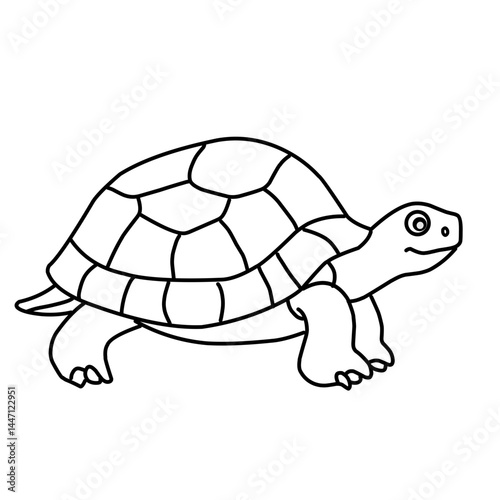 illustration of a tortoise sketch on a white background