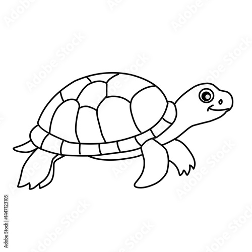illustration of a tortoise sketch on a white background