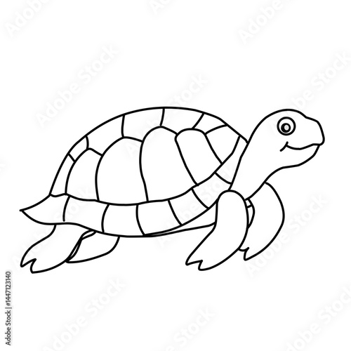 illustration of a tortoise sketch on a white background