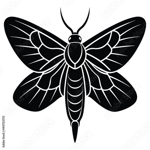 Silhouette of a moth with wide-open wings on a white background