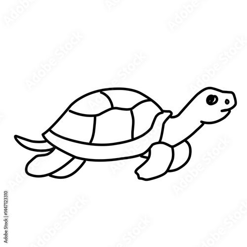 illustration of a tortoise sketch on a white background