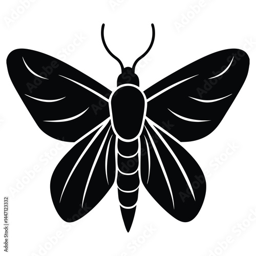 Silhouette of a moth with wide-open wings on a white background