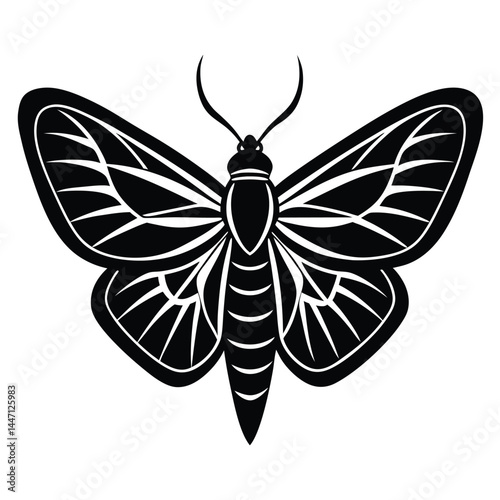 Silhouette of a moth with wide-open wings on a white background