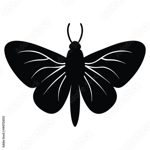 Silhouette of a moth with wide-open wings on a white background