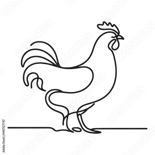 Contour Rooster Silhouette Illustration Farm Animal Agriculture Livestock Design