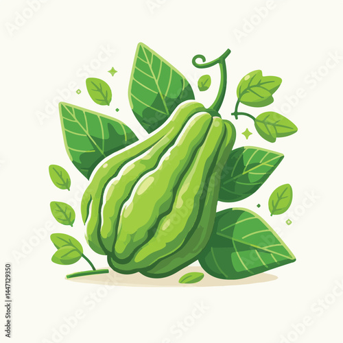 green, organic, fresh, ingredient, food, vegetable, raw, healthy, natural, agriculture, vegetarian, chayote, background, diet, white, fruit, plant, nutrition, vegetables, isolated, nutritious, freshne