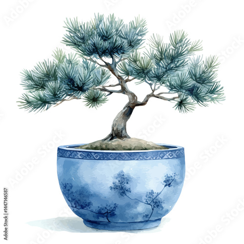 illustration of Pine Bonsai Tree In A Traditional Japanese Pot, watercolor vector, isolated on a white background.
