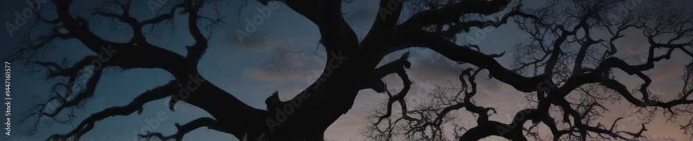 Fototapeta premium Ancient gnarled oak silhouetted against a pale moonlit sky , sky, scene