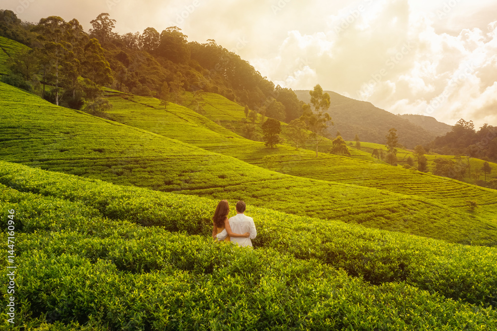 A couple stands with their backs to the camera, admiring the vibrant tea fields of Sri Lanka during a golden sunset. This serene scene is perfect for nature, travel, and romance-themed visuals.