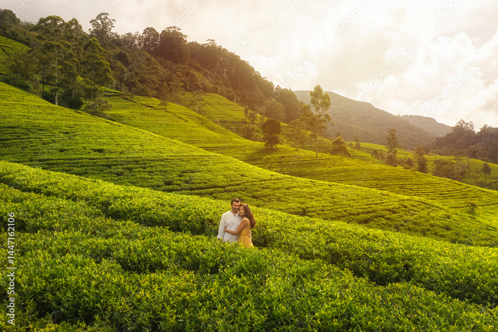 A drone captures a romantic couple embracing in a vibrant tea plantation in Nuwara Eliya, Sri Lanka. Surrounded by lush greenery and soft sunset light, this image is ideal for travel, nature, and