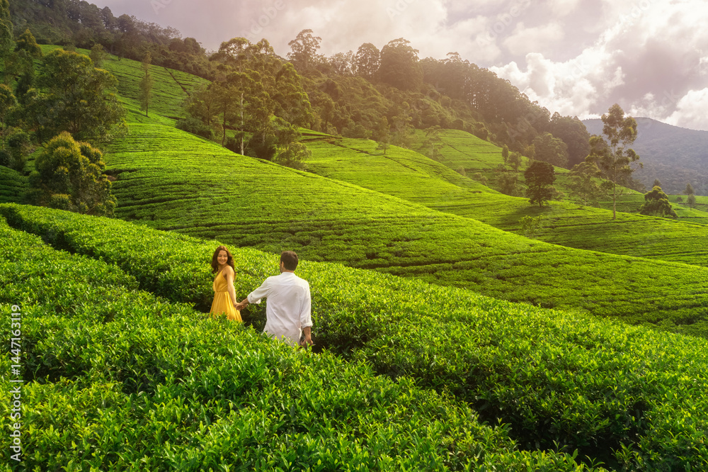 A couple enjoys a scenic walk through the lush tea plantations of Nuwara Eliya, Sri Lanka. Surrounded by rolling green hills and vibrant tea crops, the landscape offers a tranquil and romantic getaway