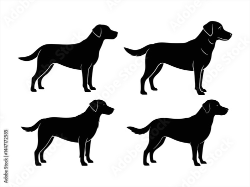 labrador retriever sihouette black vector bundle