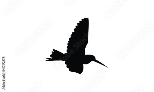 Flying African snipe bird Silhouette Design  And Vector Illustration. 