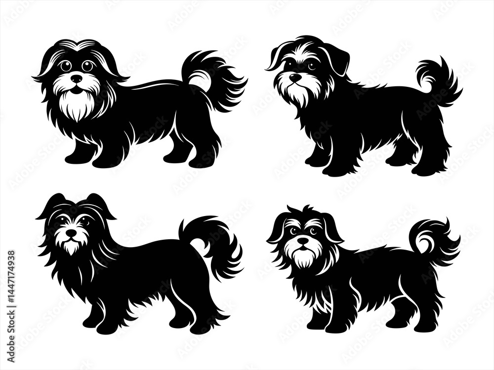 Fototapeta premium maltese sihouette black vector bundle