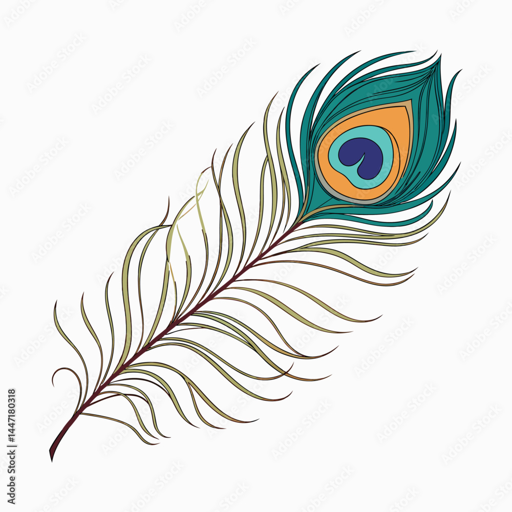 vector illustration of peacock feather vector illustration of peacock feather