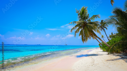 Fototapeta Naklejka Na Ścianę i Meble -  Panorama of tropical beach with coconut palm trees as white sand beach background
