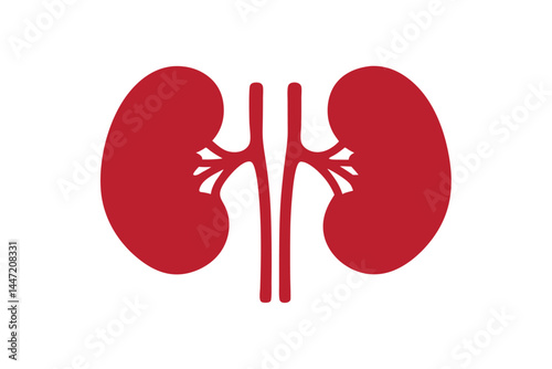 human kidney icon silhouette vector illustration, Red human kidney clipart