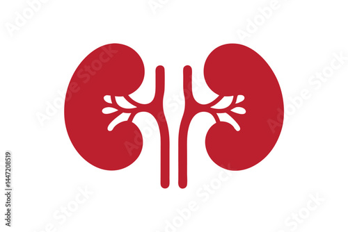 human kidney icon silhouette vector illustration, Red human kidney clipart