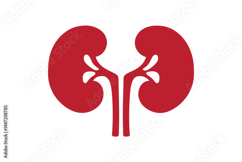human kidney icon silhouette vector illustration, Red human kidney clipart