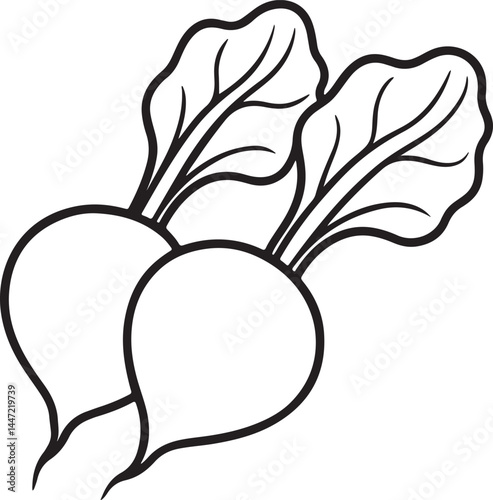 radishes line art, black outline, vector and illustration, coloring book page line art drawing