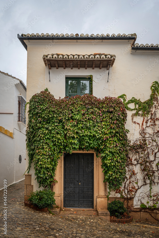 An pretty doorway, framed by ivy that is in the process of turning red for the autumn. The doorway is an example of architecture in southern Spain An pretty doorway, framed by ivy that is in the process of turning red for the autumn. The doorway is an example of architecture in southern Spain