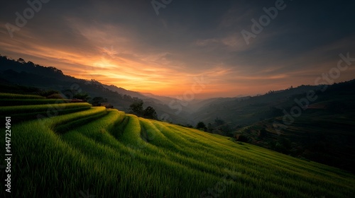 Terraced rice fields illuminated by a captivating sunset in a mountainous region