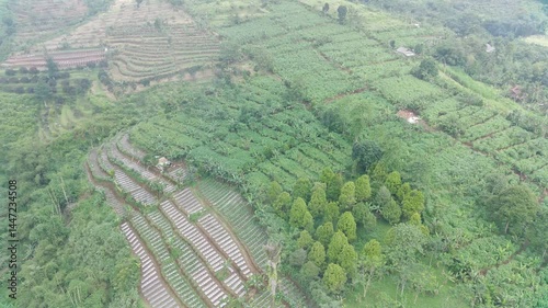 Aerial View of Lush Green Terraced Farmlands
