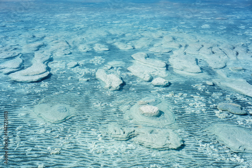 Stromatolites forming microbial mats in Lake Salda photo