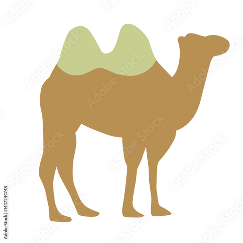 Flat Vector Camel Illustration