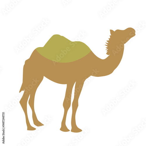 Flat Vector Camel Illustration
