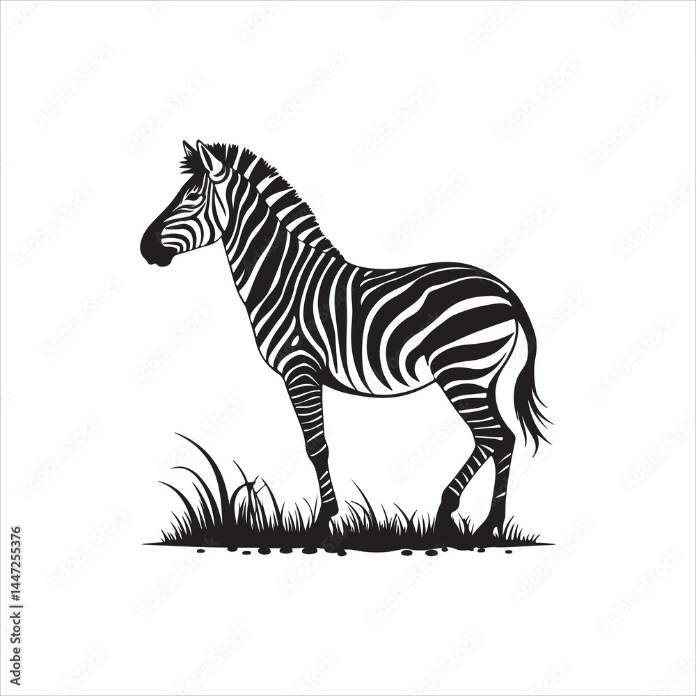 Fototapeta premium Zebra Silhouette Illustration, Black and White Wild Animal Design