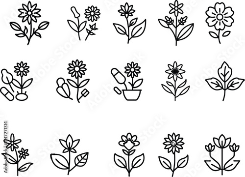Medicinal Herbs Vector Icons – Thin Line Set of Healing Plants for Wellness, Health, and Herbal Remedies