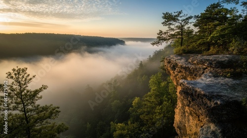 Mistshrouded valley view from rocky cliff