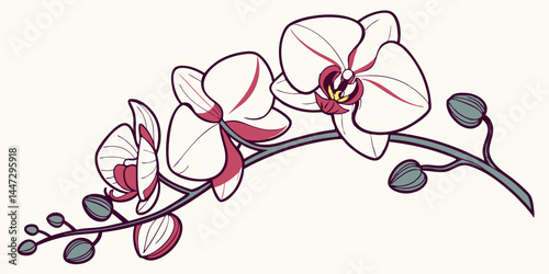 Exotic Orchid Flower Vector In A Modern Stylized D