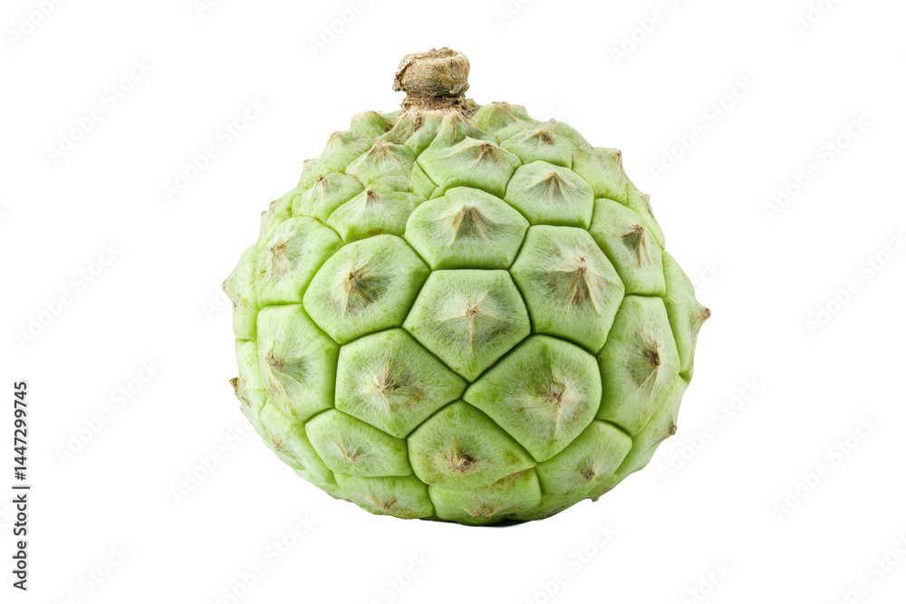Fototapeta premium Single, light green fruit with a distinctly hexagonal, patterned exterior is displayed against a plain backdrop. The lighting highlights the textures of the fruit.