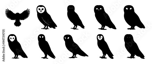 Collection of Barn Owl Silhouettes in Various Poses and Views