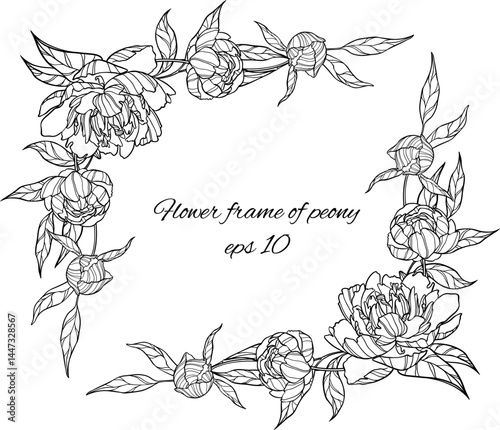 Border frame of vector lush flowers isolated. Peonies illustration.
