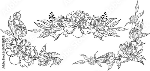 Set of border of vector lush flowers isolated. Peonies illustration.