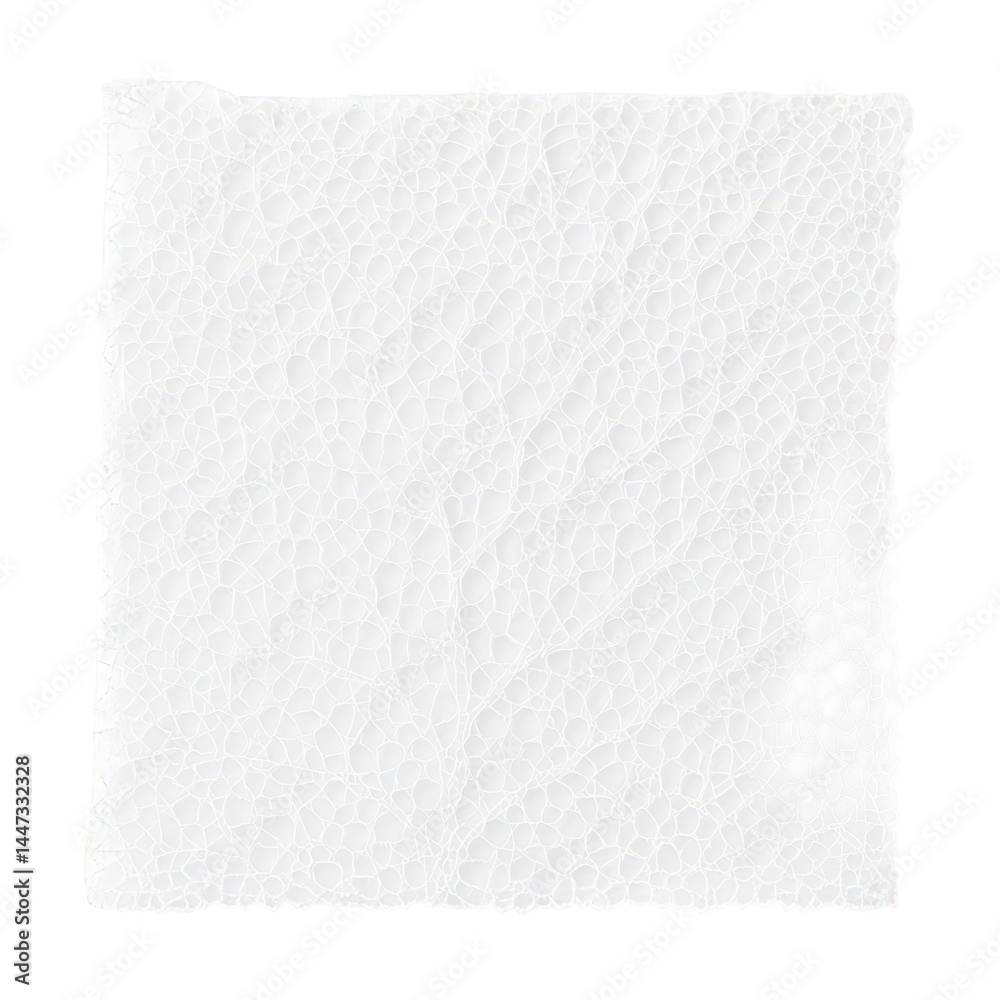 Obraz premium A detailed view of a delicate white material featuring an intricate, porous, organic network pattern.