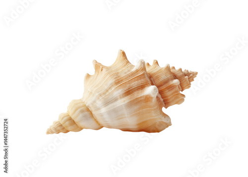 Obraz na płótnie Close up of a textured conch shell with a spiral pattern, isolated on transparent background. Summer, vacation, and nature concepts. w salonie