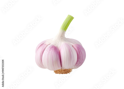 Obraz na płótnie Close up of a whole garlic bulb with purple cloves and a green stem, isolated on transparent background. Condiment, flavor, and healthy eating. w salonie