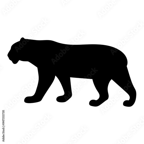 Majestic silhouette of a large wildcat cat walking stealthily across the plains