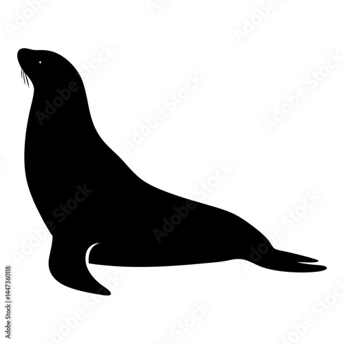 Silhouette of a sea lion basking in the sun on white background