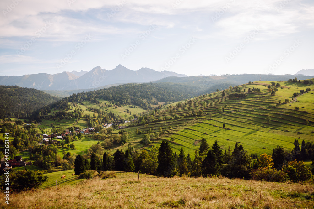 Obraz premium Inspiring landscape of green hills. Terraced fields stretch across the hills of lush greenery. Concept of nature, freedom and view.