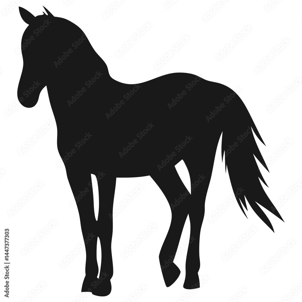 Obraz premium Horse Silhouette