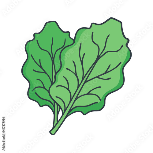 Fresh green spinach leaves vector illustration for healthy eating and vegan lifestyle diet food design