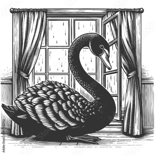black swan inside a room beside a rain-streaked window, representing rare, unexpected events sketch engraving generative ai vector illustration. Scratch board imitation. Black and white image.