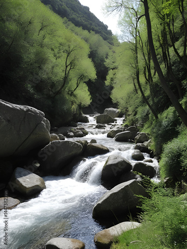 torrent de cauteret photo